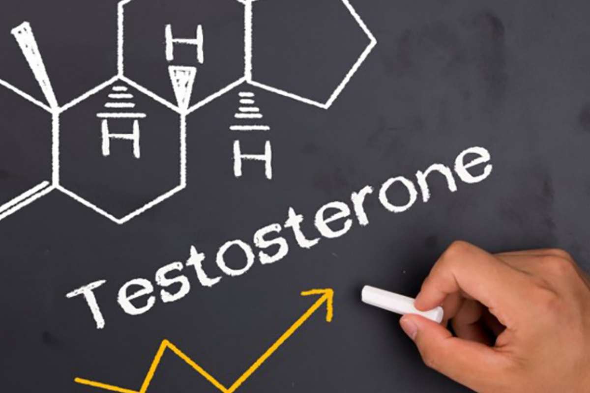 Testosterone