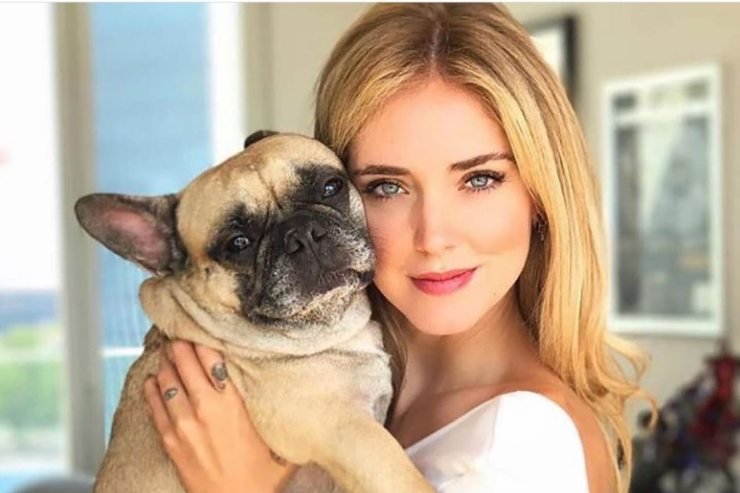 Morta la cagnolina di Chiara Ferragni