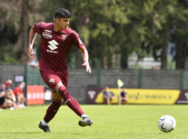 Preview Torino-FeralpiSalò